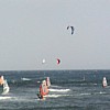 fly2.jpg