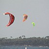 fly3.jpg