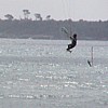 fly5.jpg