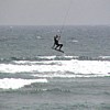 fly8.jpg