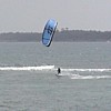fly9.jpg