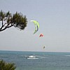 fly96.jpg