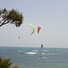fly97.jpg