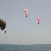 fly98.jpg