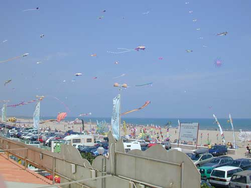 Panorama... Public, baigneurs, et cerfs-volants