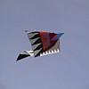 photo7.jpg