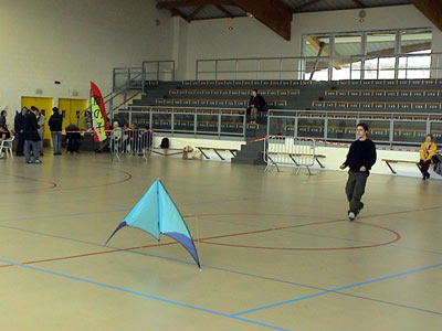 Gregory et son nouveau cerf volant