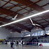 photo13.jpg