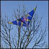 Spike sur l'arbre 