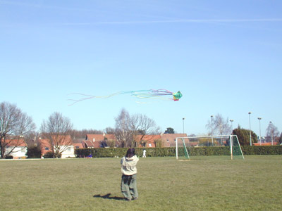 felix_free