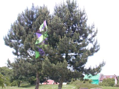 i_cop16