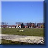 photo_3.jpg