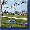 photo18.jpg