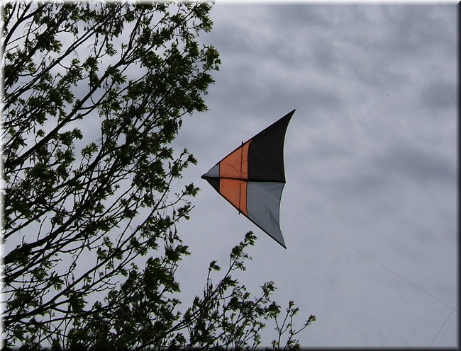 photo27.jpg