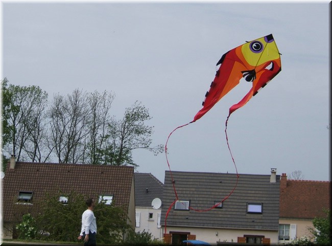 photo28.jpg