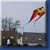 photo28.jpg