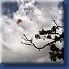 photo6.jpg