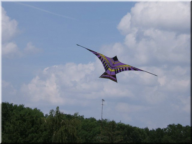 para5.jpg