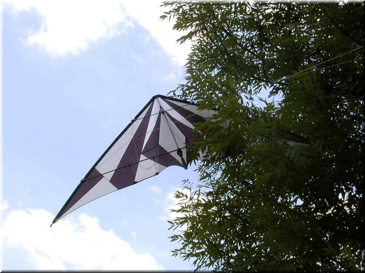 photo48.jpg