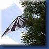 photo48.jpg