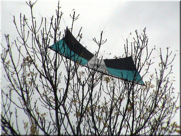 photo76.jpg
