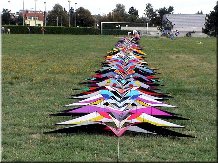 photo81.jpg