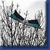photo76.jpg