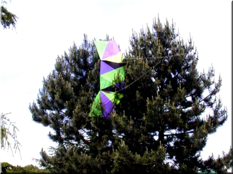 photo26.jpg