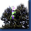 photo26.jpg