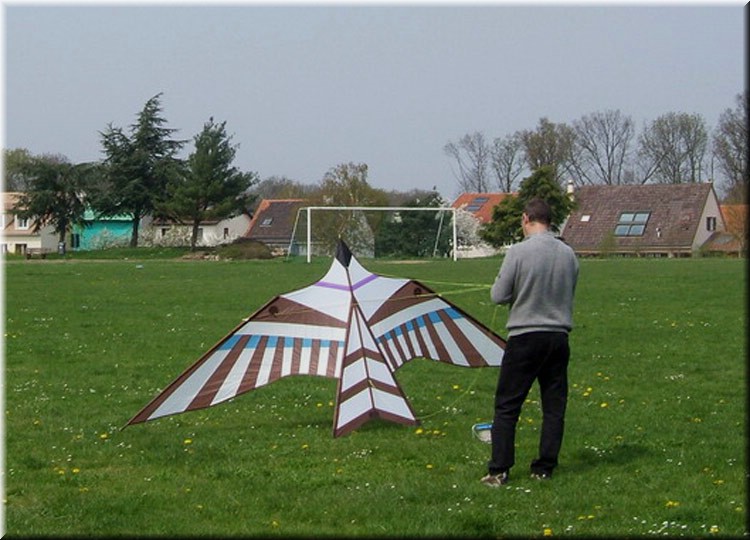 photo3.jpg