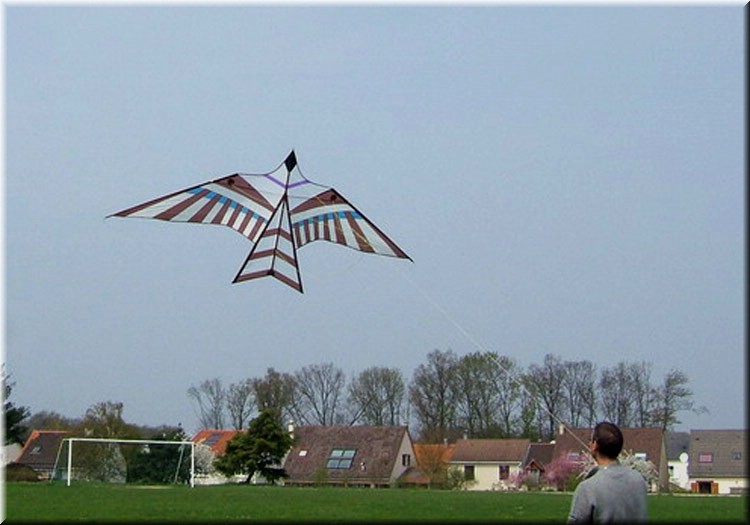 photo4.jpg