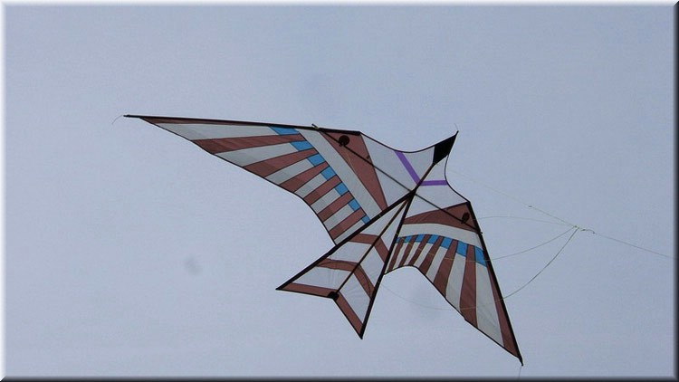 photo9.jpg