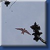 photo2.jpg