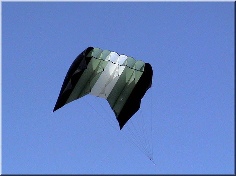monofils008.jpg