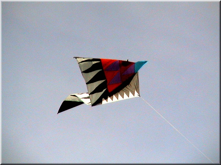 monofils012.jpg