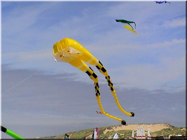 monofils017.jpg
