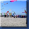 monofils049.jpg