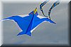 atout-vent-14-025.JPG