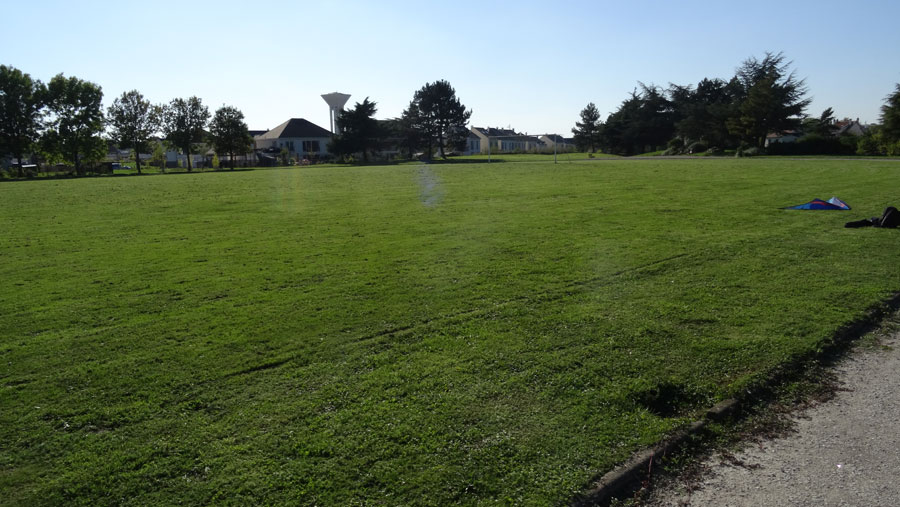 photo-11