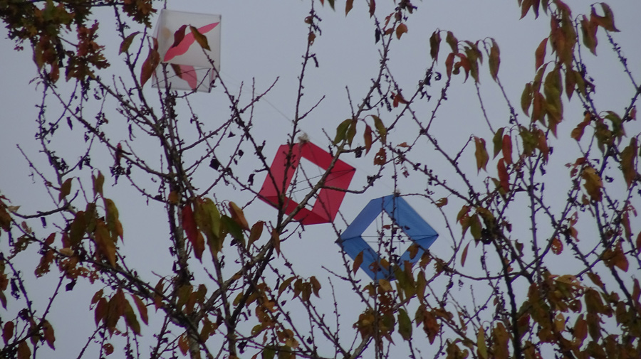 cubes 1