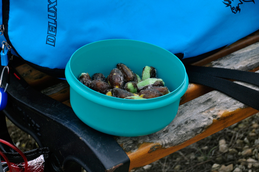 dates fourrées