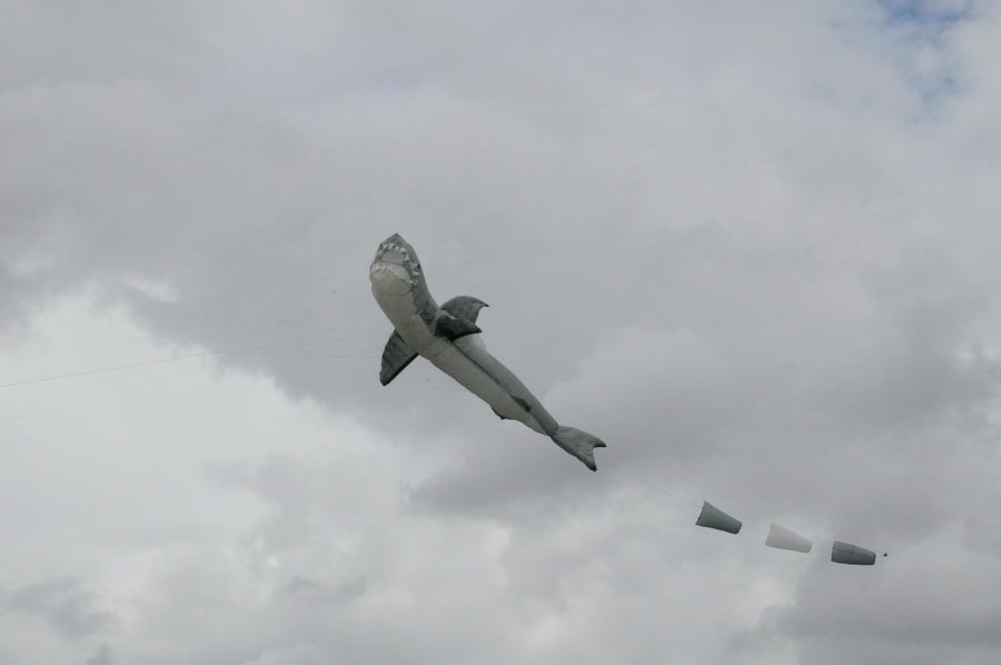 photo-04