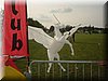 sclay-2002-louis-18.jpg