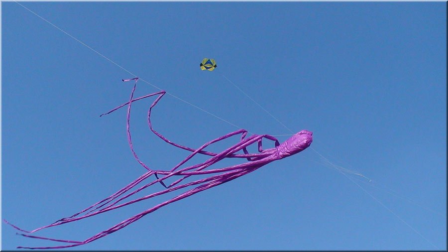 photo-03.jpg