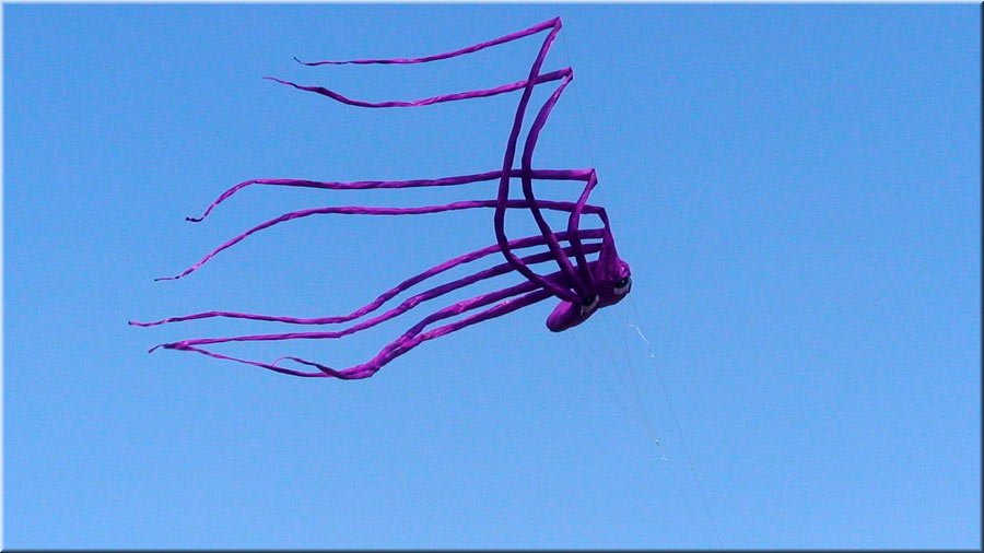 photo-08.jpg