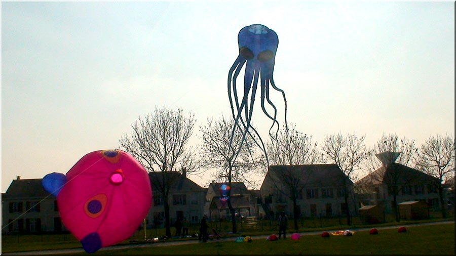 photo-13.jpg