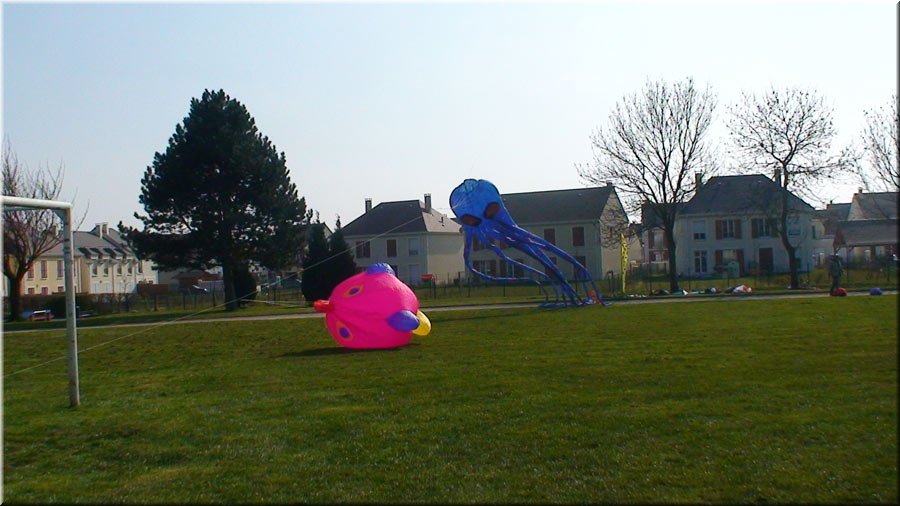photo-14.jpg