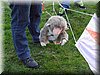 photo11.jpg