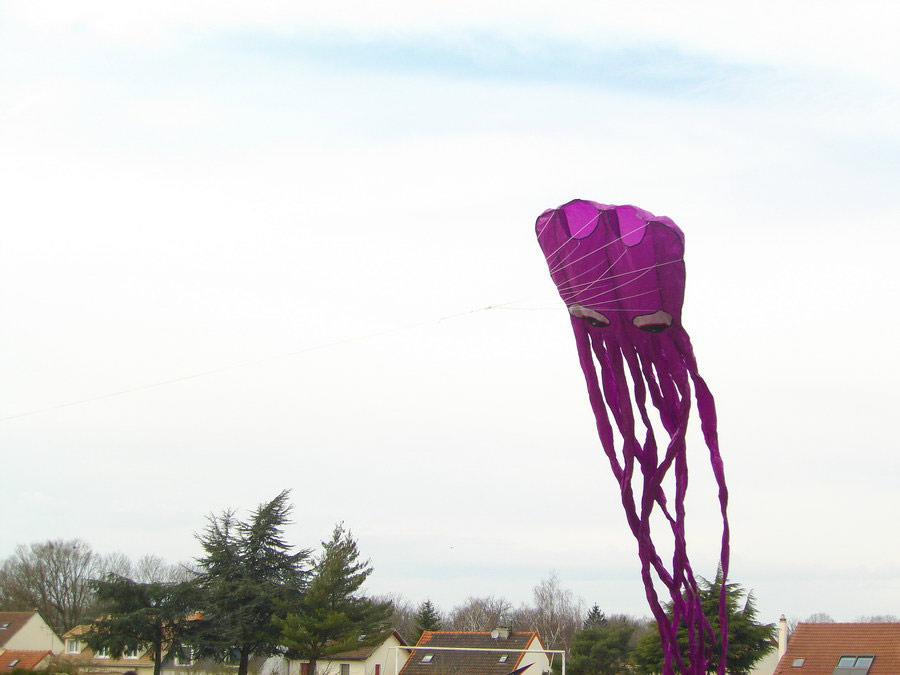 photo-12