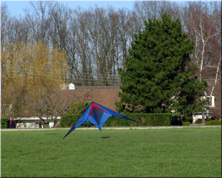 photo14.jpg